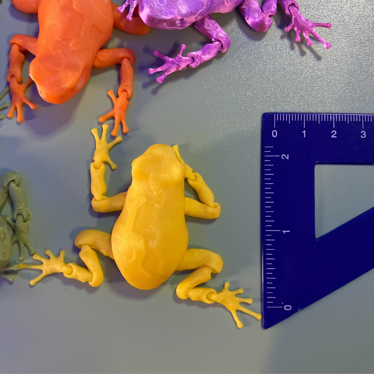 3D Printed Articulated Frogs (Set of 2) - Random Colors